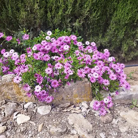 Vista Bella Holiday home Ronda